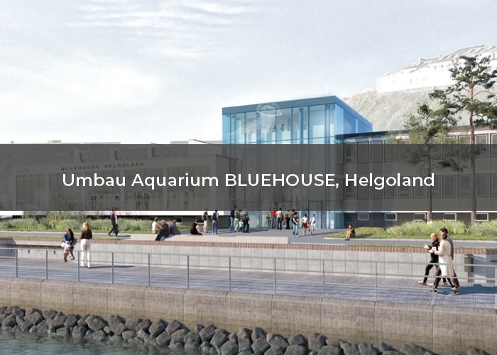 1210-18 Umbau Aquarium BLUEHOUSE Helgoland